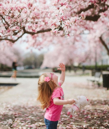 Sneaky Peek Spring interior trends for 2024