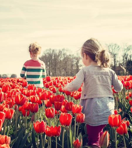 Get set for a spring clean!