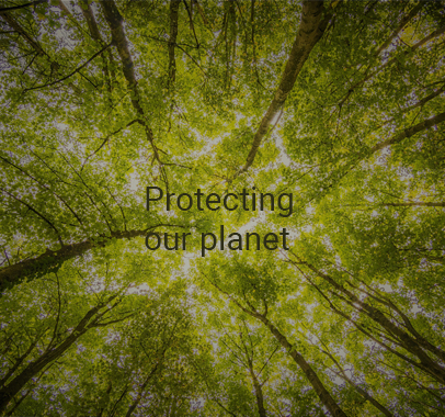 Good Wood; Diving into the world of sustainable timber 