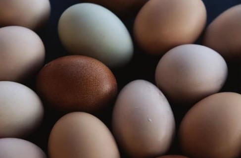earthy colours eggs 
