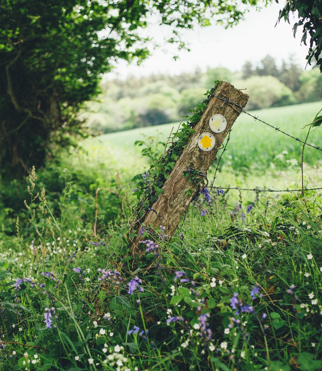 country walk