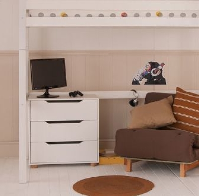 storage under loft bed 